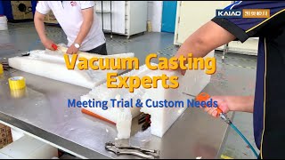 Vacuum Casting Experts For All Materials amp Shapes Meeting Trial amp Custom Needs [upl. by Hills]