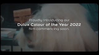 1 Living Room 4 transformations with Dulux Colour of the Year 2023 – Wild Wonder™ [upl. by Retrak]