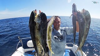 Pesca Spinning alle Lampughe  Mahi Mahi Dorado Fishing [upl. by Griswold]