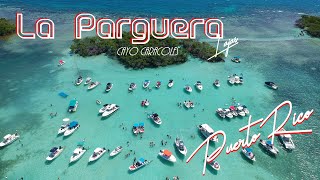 La Parguera Lajas Puerto Rico [upl. by Sayers]