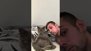 So manipulierst du deine Katze 3 CatInfo cat katze catsofyoutube [upl. by Mallin]