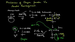 Carbohydrates Video 4 Mechanism of Osazone Formation [upl. by Netram]