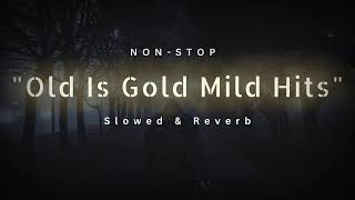 Old is Gold 1990s lofi song slow and Reverb lofimusic slowedandreverb [upl. by Haraf]