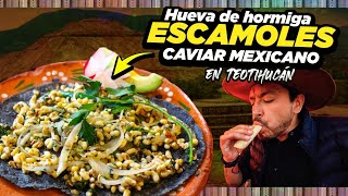 Los GUSANOS DE MAGUEY más CAROS que he comido en Teotihuacán [upl. by Juliana]