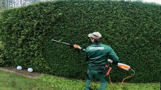 ThujaheckeFormschnitt Pflegeschnitt im frühjahrDer Frühjahrsschnitt im Garten Stihl [upl. by Hut]