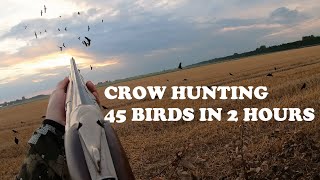 Crow hunting  45 birds in 2 hours [upl. by Melinde62]