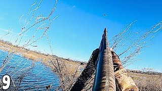 Hunting MALLARDS Out of a Brush Blind  Duck Hunting 2024 [upl. by Tobey]