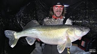 TOP 5 BIGGEST WALLEYES CAUGHT ICE FISHING compilation [upl. by Nas]