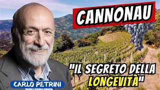 CANNONAU Il Segreto del Vino Sardo che Forse Non Conosci [upl. by Ahsinam26]