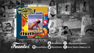 La Sonora Dinamita  La bamba  Discos Fuentes [upl. by Kcirdot]