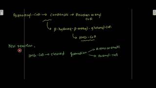 Ketone Bodies formation of ketone bodies Acidosis Ketonemia Ketonuria [upl. by Mauceri]