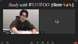 Study with WONWOO SEVENTEEN l 스터디윗미 원우 l 🔥🪵장작 타는 소리  연필 소리✏️ l 1시간 [upl. by Jolie]