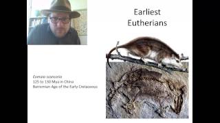 Episode 4 When did Marsupial and Placental Mammals split [upl. by Anelrahs]