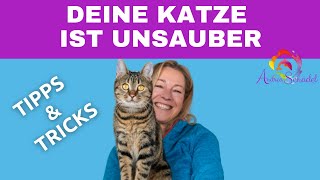 10 Tipps  Deine Katze ist unsauber oder markiert [upl. by Ehsiom755]