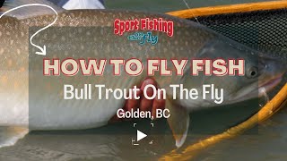 FLY FISHING BULL TROUT ON THE FLY [upl. by Nnaytsirk]