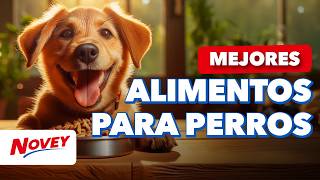 ¿Qué alimento para perros es mejor Según su edad 🐶🐾 Novey Tips [upl. by Ylicec878]