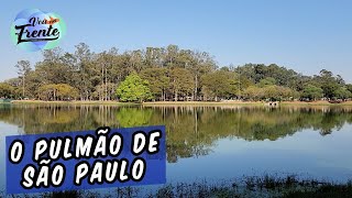 CONHEÇA O PARQUE IBIRAPUERA EM SÃO PAULO  SP [upl. by Montagna621]