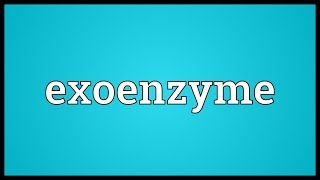 Exoenzyme Meaning [upl. by Ahsyas]