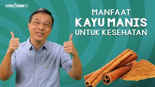 MANFAAT KAYU MANIS UNTUK KESEHATAN [upl. by Trumaine]