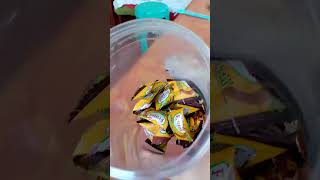 CHEWY SAMPALOK CANDY satisfying trending short subscribe [upl. by Ennyroc]