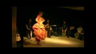 Flamenco JALEO  Konzertausschnitte [upl. by Yrrad]