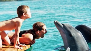 The Eilat Dolphin Reef [upl. by Burbank299]