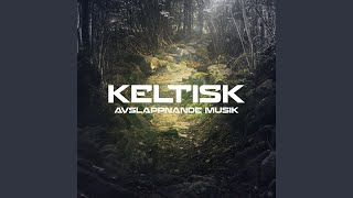 Keltisk avslappnande musik [upl. by Hillegass]