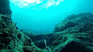 chasse sous marine île de la REUNION [upl. by Huber]