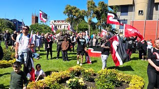 Hikoi at Palmerston North 17th November 2024 [upl. by Odnarb876]