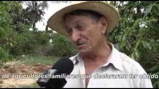 Documentário BOLSA FAMÍLIA e seus efeitos colaterais [upl. by Aical]