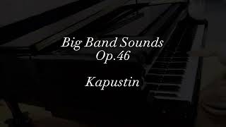 ビッグ バンド サウンズ／カプースチン Big Band Sounds／NKapustin [upl. by Heath]