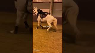 edit by paardenu on CapCut horse horsebackriding equestrain horseriding horsegirl [upl. by Eilahs]