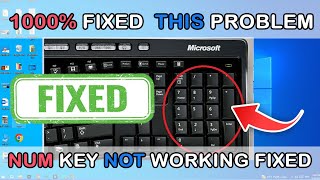 Fixed  Num Lock not working Windows 10 [upl. by Nomla]