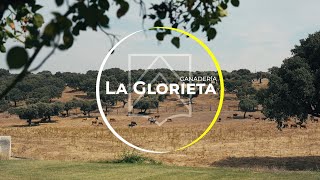 LA GLORIETA una ganadería para soñar [upl. by Petulah119]