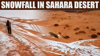 Sahara Desert Witnesses Snowfall Due To Drop In Temperature Watch Video  OneIndia News [upl. by Irama129]