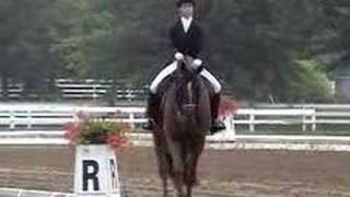 FEI PSG Dressage Test wwwdressagecoachca [upl. by Khalin20]