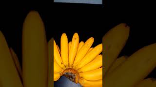 Lets eat BANANA  LAKATAN trending food fruit trendingshorts viralshorts viralshort asmr [upl. by Aiekam]