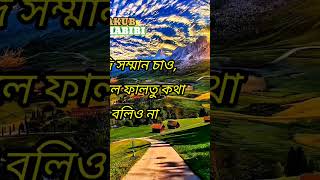 যদি সুখ চাওshorts reels feed whatsappstatus bangladesh viralvideo stylishunique03islamic [upl. by Merna262]