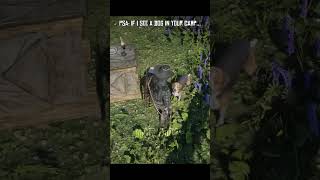 camp dog rdo rdr2online reddeadredemption reddeadonline rdr2 reddeadredemption2 shorts [upl. by Potter583]