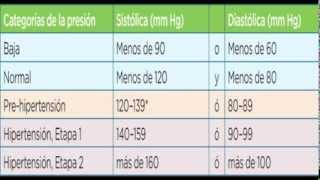 El Colesterol y la Presion Alta [upl. by Nels]