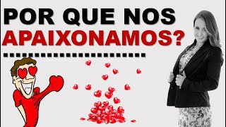 POR QUE NOS APAIXONAMOS  A Química do Amor [upl. by Finn]