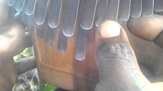 Amazing mbira tune by ShareMbira [upl. by Barn731]