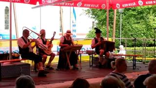 DWaidler Musi beim Dellnhauser Volksmusikfest 2017 [upl. by Eeliram]