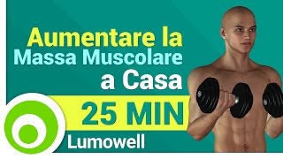 Esercizi da Fare a Casa per Aumentare la Massa Muscolare  Allenamento Completo [upl. by Ahsiuqat983]