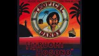 haruomi hosono  honey moon 1975 [upl. by Inahs]