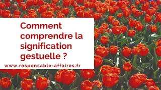 Signification gestuelle  comment la comprendre  13530 [upl. by Doomham]