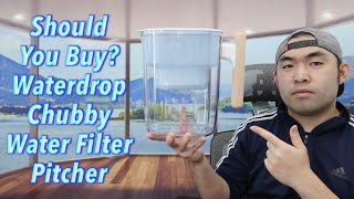 Should You Buy Waterdrop Chubby Water Filter Pitcher [upl. by Lilli69]