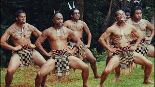 Dances of Life  Māori widescreen excerpt [upl. by Furlong36]