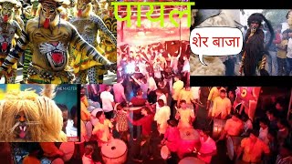 शेर बाजा Payal dhumal GONDIA तबाही शेर धुन और डांस 9960096024 [upl. by Enuahs596]