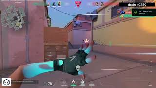 Silver to Immortal Valorant Color Aimbot  UNDETECTABLE [upl. by Rrats383]